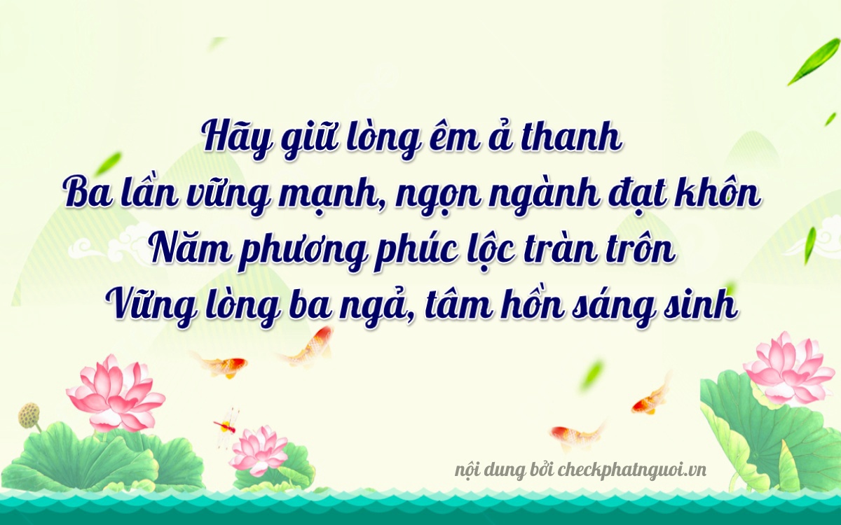 Bài thơ ý nghĩa cho <b>biển số 81A-43513</b> tại website checkphatnguoi.vn