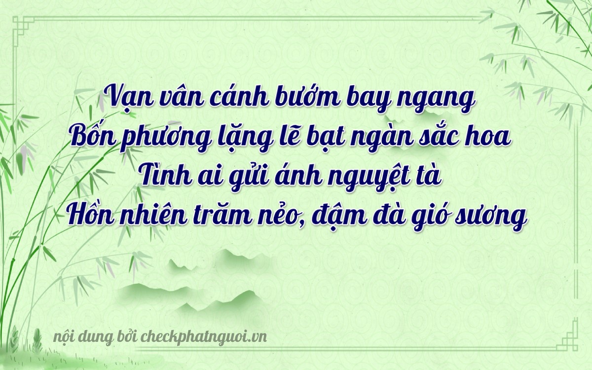 Bài thơ ý nghĩa cho <b>biển số 81B1-78800</b> tại website checkphatnguoi.vn