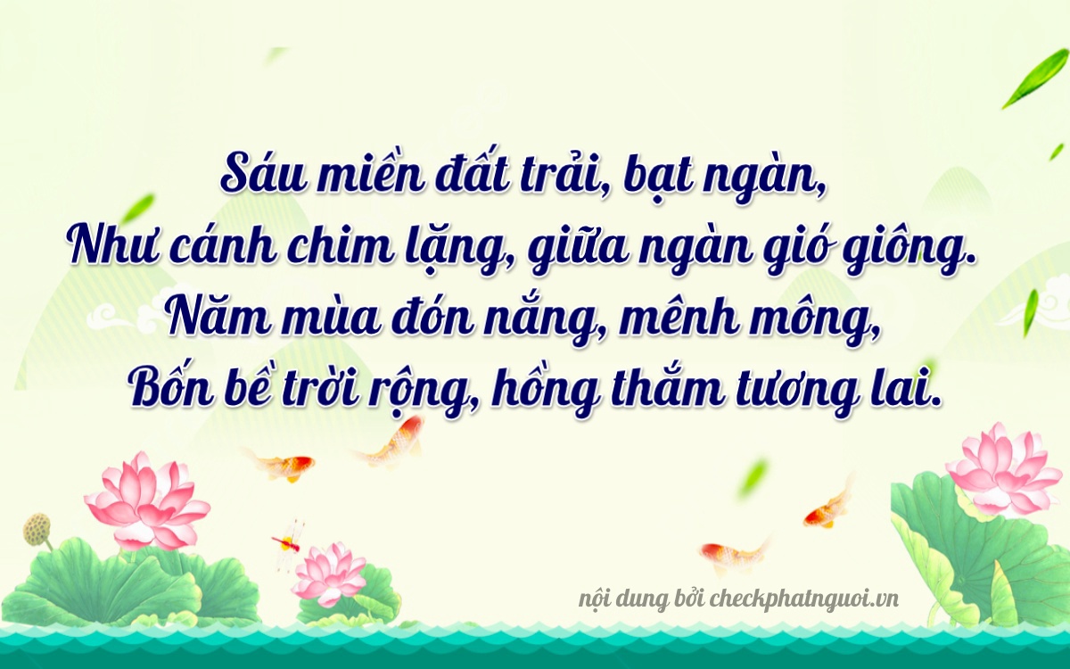 Bài thơ ý nghĩa cho <b>biển số 81B3-16564</b> tại website checkphatnguoi.vn