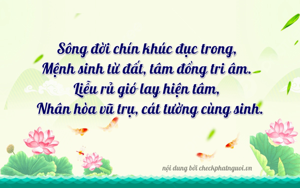 Bài thơ ý nghĩa cho <b>biển số 81B3-36891</b> tại website checkphatnguoi.vn