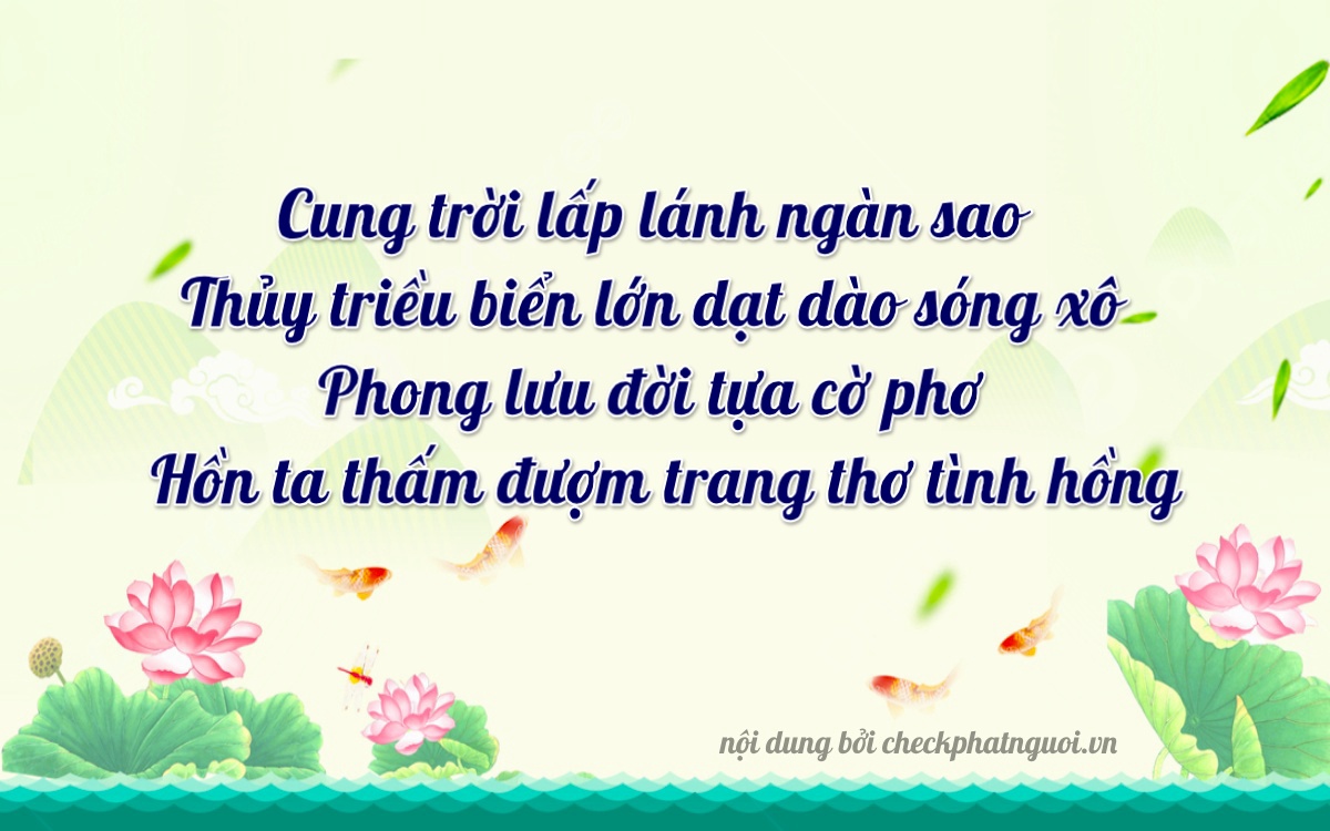 Bài thơ ý nghĩa cho <b>biển số 83D1-31062</b> tại website checkphatnguoi.vn