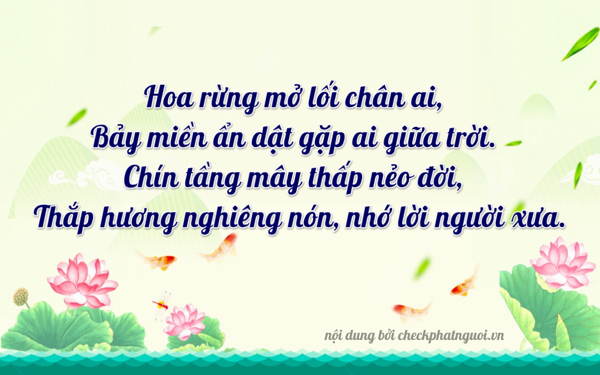 Bài thơ ý nghĩa cho <b>biển số 84AF-03709</b> tại website checkphatnguoi.vn