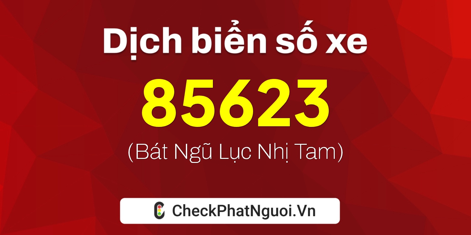 Dịch ý nghĩa <b>biển số xe 51H-85623</b> tại website checkphatnguoi.vn