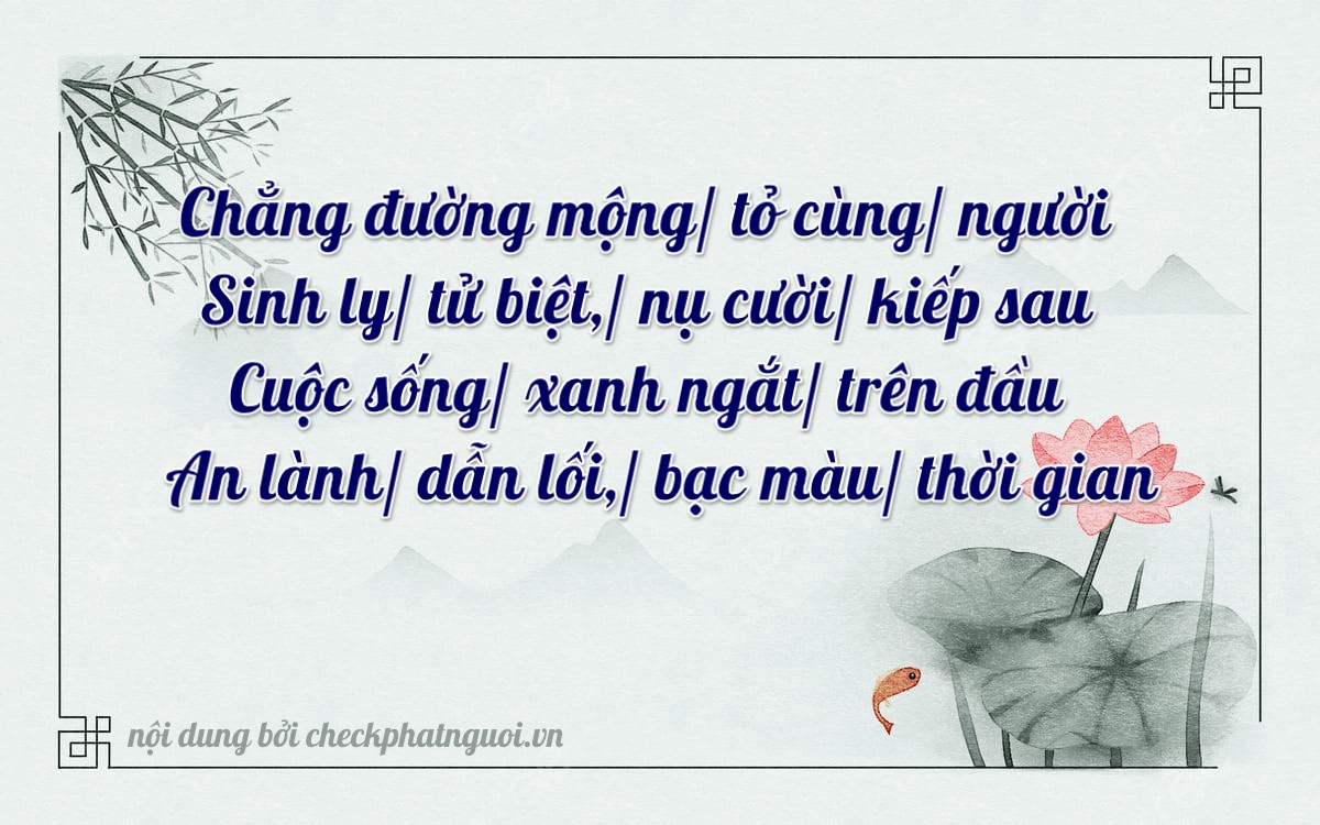 Bài thơ ý nghĩa cho <b>biển số 85B1-62307</b> tại website checkphatnguoi.vn