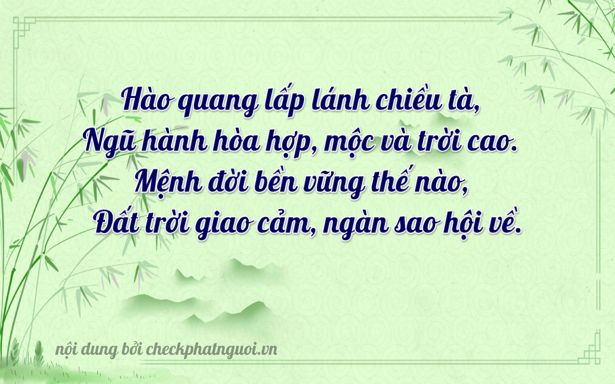 Bài thơ ý nghĩa cho <b>biển số 85C1-22222</b> tại website checkphatnguoi.vn