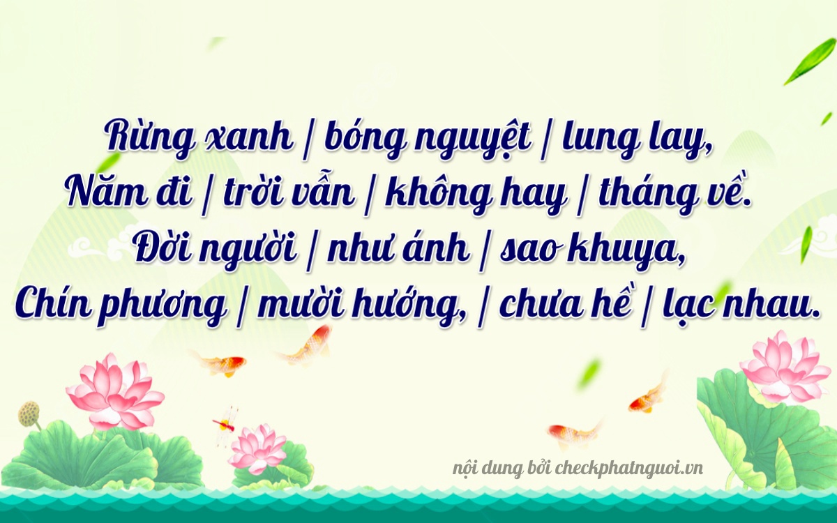 Bài thơ ý nghĩa cho <b>biển số 85CA-05929</b> tại website checkphatnguoi.vn