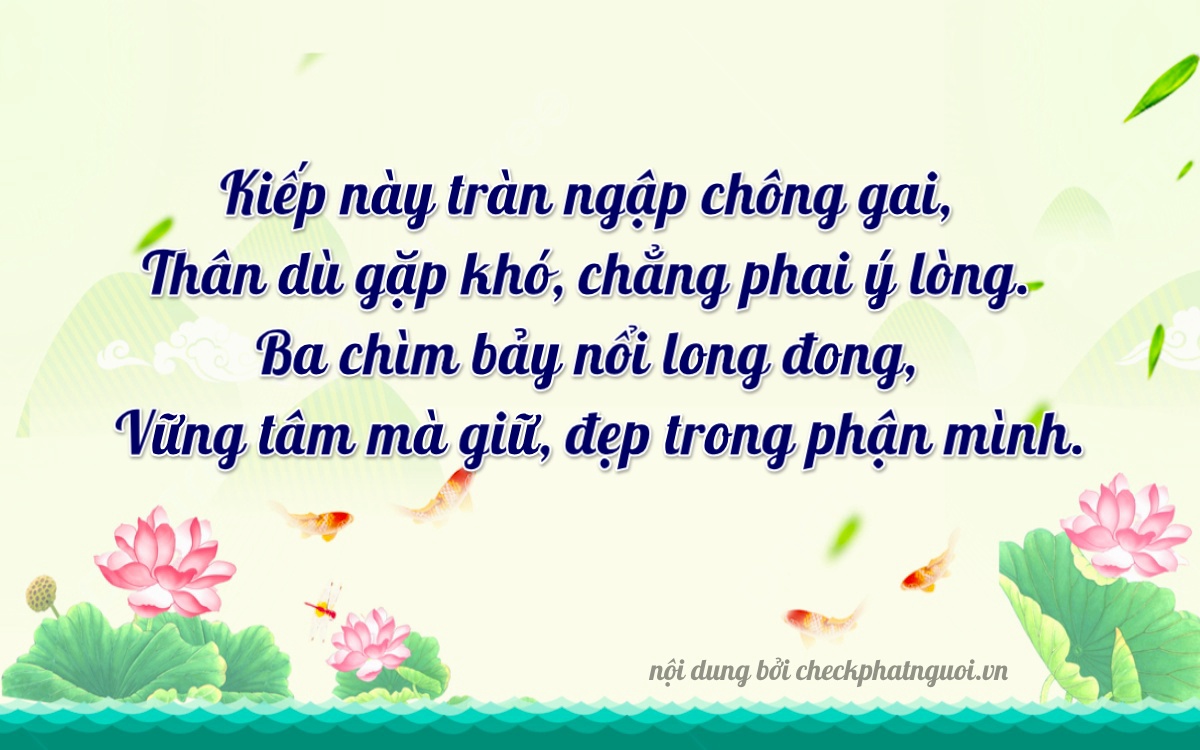 Bài thơ ý nghĩa cho <b>biển số 85D1-33739</b> tại website checkphatnguoi.vn