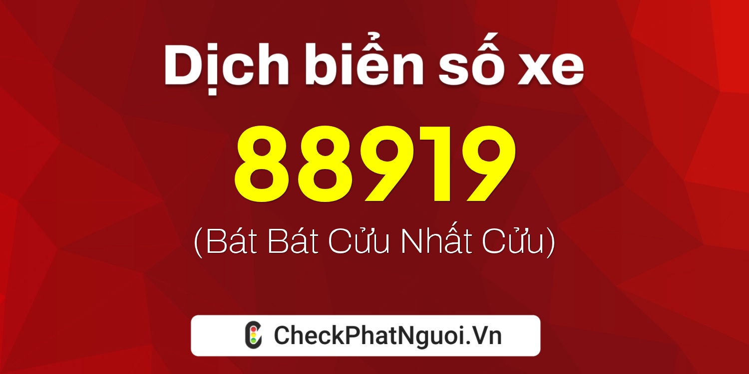 Dịch ý nghĩa <b>biển số xe 59D2-88919</b> tại website checkphatnguoi.vn