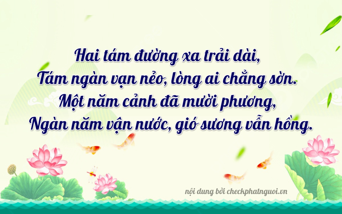 Bài thơ ý nghĩa cho <b>biển số 88G1-28185</b> tại website checkphatnguoi.vn