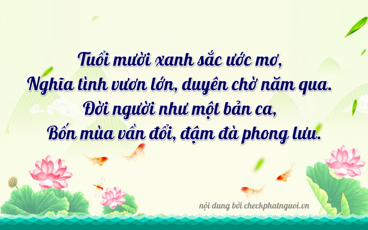Bài thơ ý nghĩa cho <b>biển số 89A-20494</b> tại website checkphatnguoi.vn