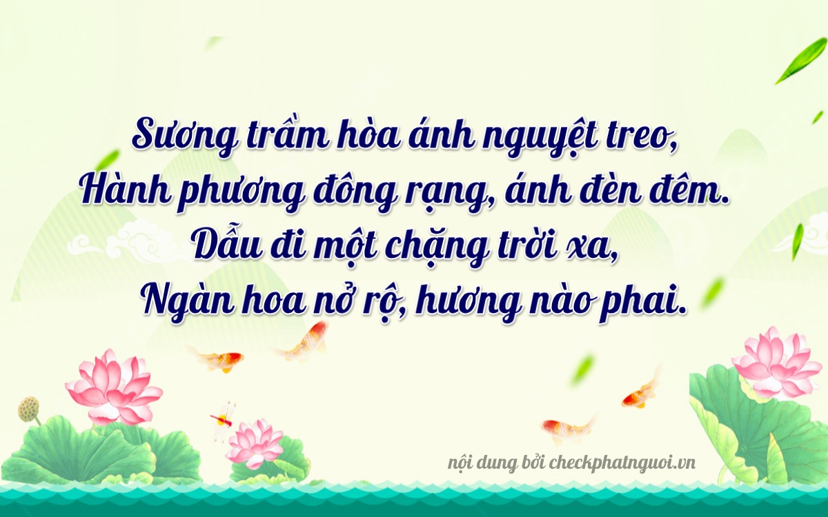 Bài thơ ý nghĩa cho <b>biển số 89B1-32696</b> tại website checkphatnguoi.vn
