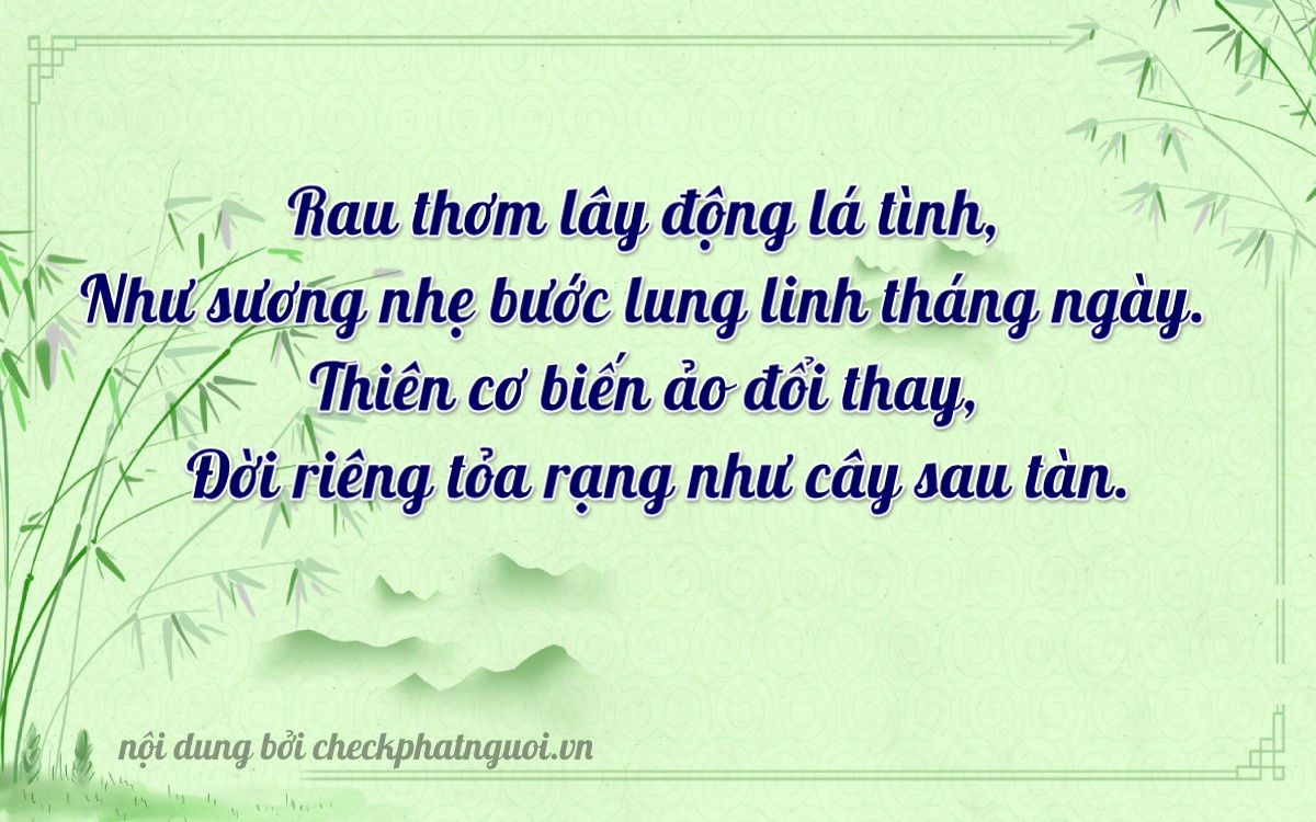 Bài thơ ý nghĩa cho <b>biển số 92B1-08288</b> tại website checkphatnguoi.vn
