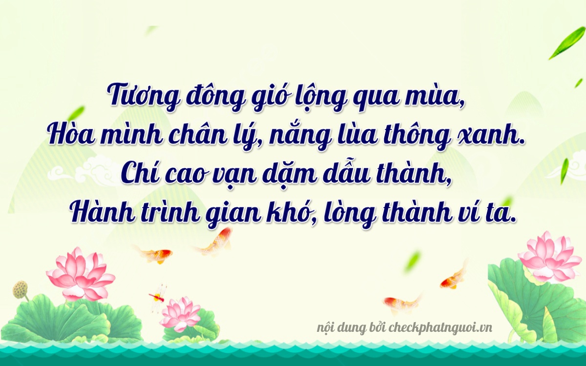 Bài thơ ý nghĩa cho <b>biển số 92F1-20393</b> tại website checkphatnguoi.vn