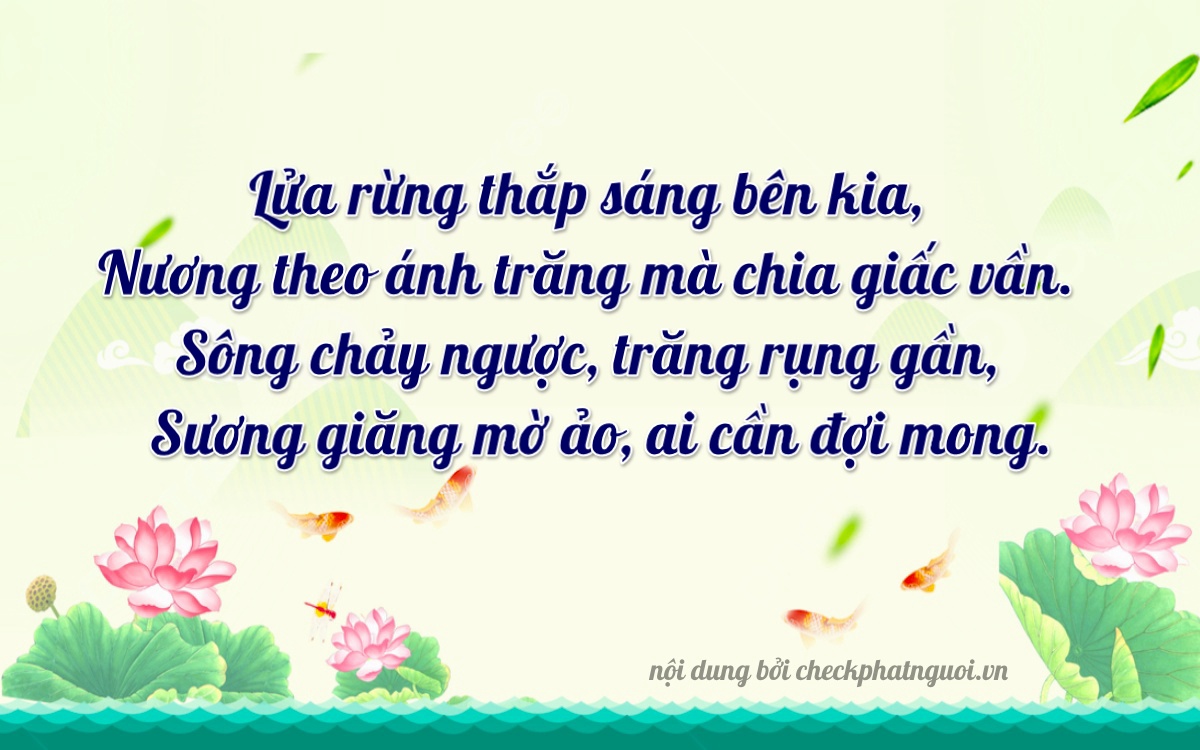 Bài thơ ý nghĩa cho <b>biển số 92HA-14525</b> tại website checkphatnguoi.vn