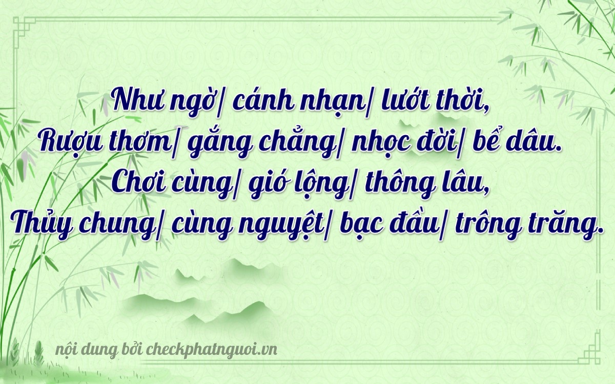 Bài thơ ý nghĩa cho <b>biển số 92N1-64242</b> tại website checkphatnguoi.vn