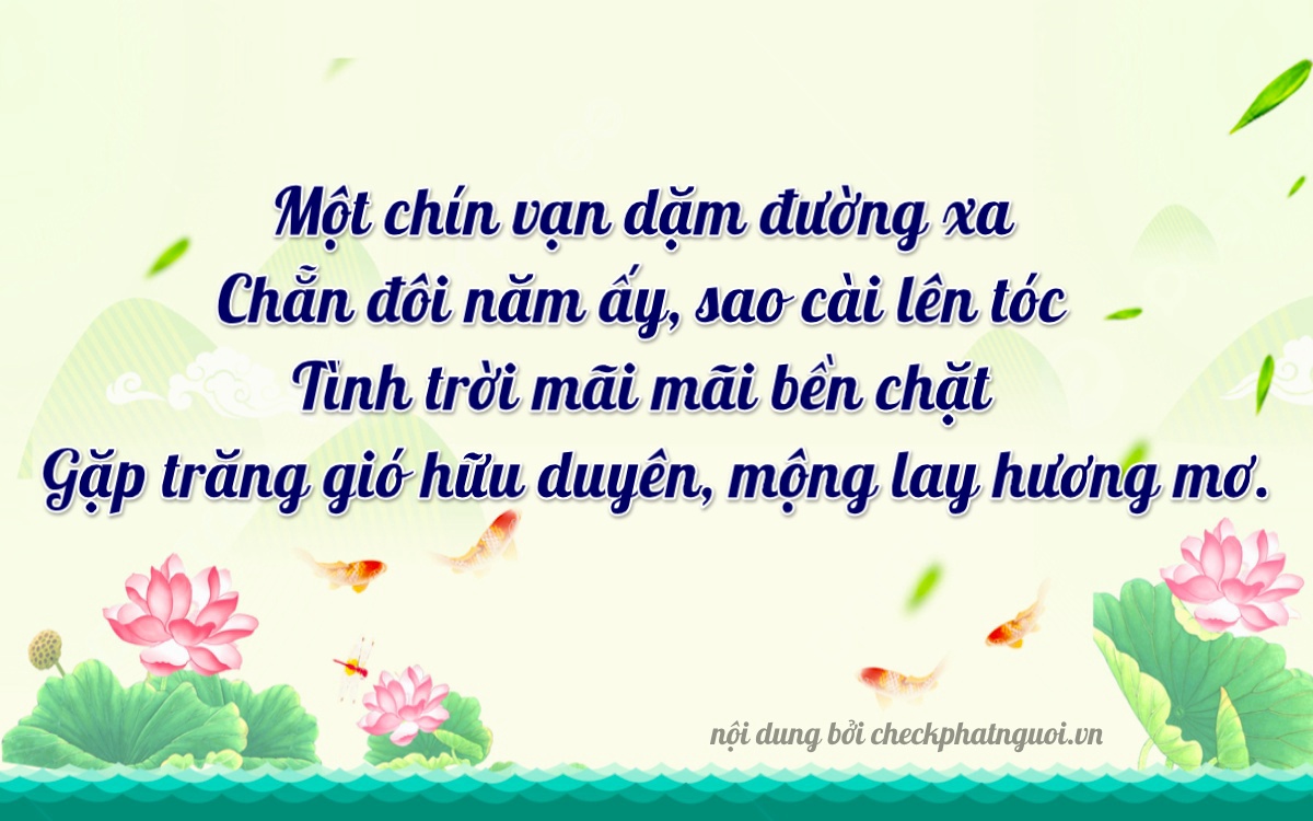 Bài thơ ý nghĩa cho <b>biển số 95AE-11905</b> tại website checkphatnguoi.vn