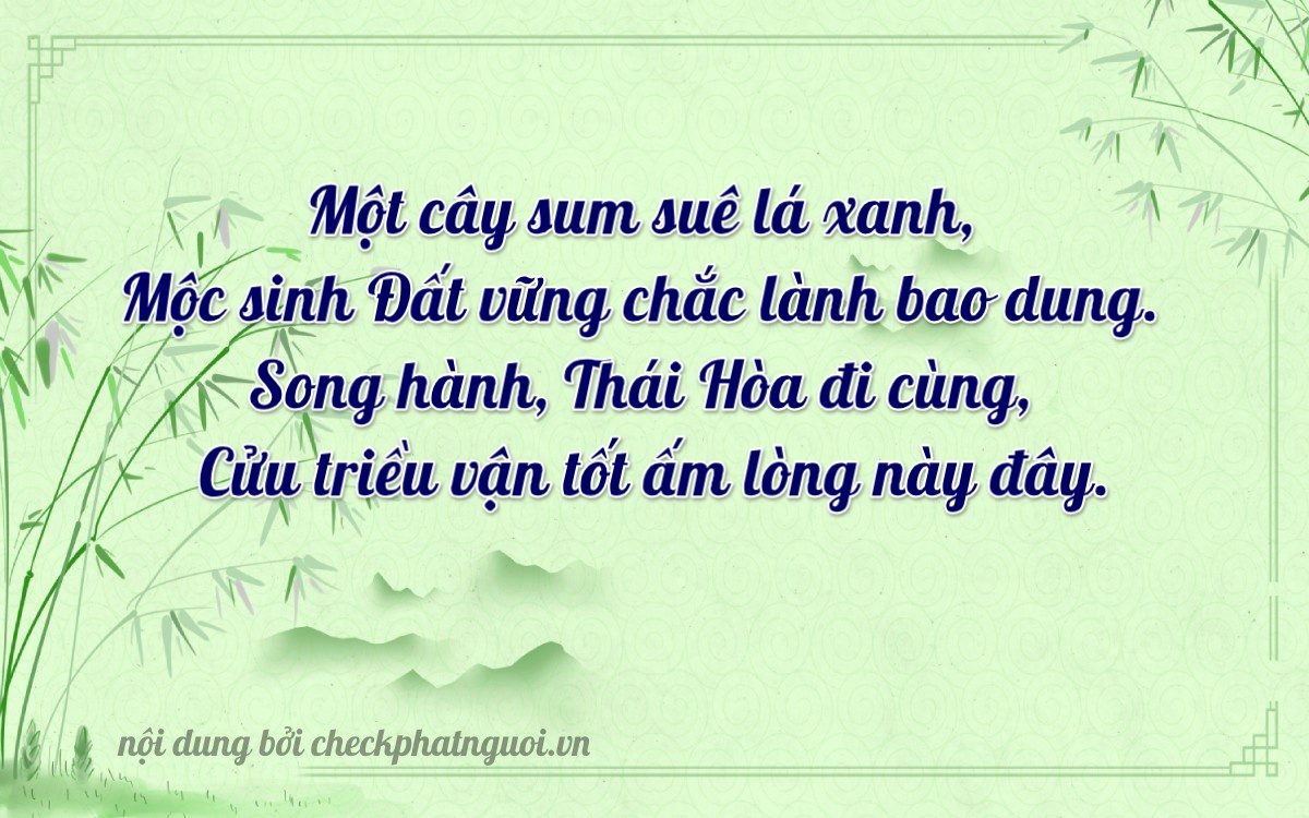 Bài thơ ý nghĩa cho <b>biển số 95B2-11089</b> tại website checkphatnguoi.vn