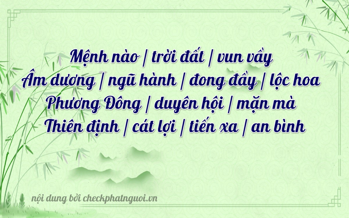 Bài thơ ý nghĩa cho <b>biển số 98AC-03998</b> tại website checkphatnguoi.vn