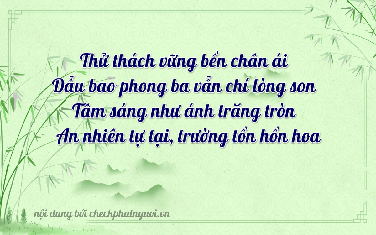 Bài thơ ý nghĩa cho <b>biển số 98B2-52225</b> tại website checkphatnguoi.vn