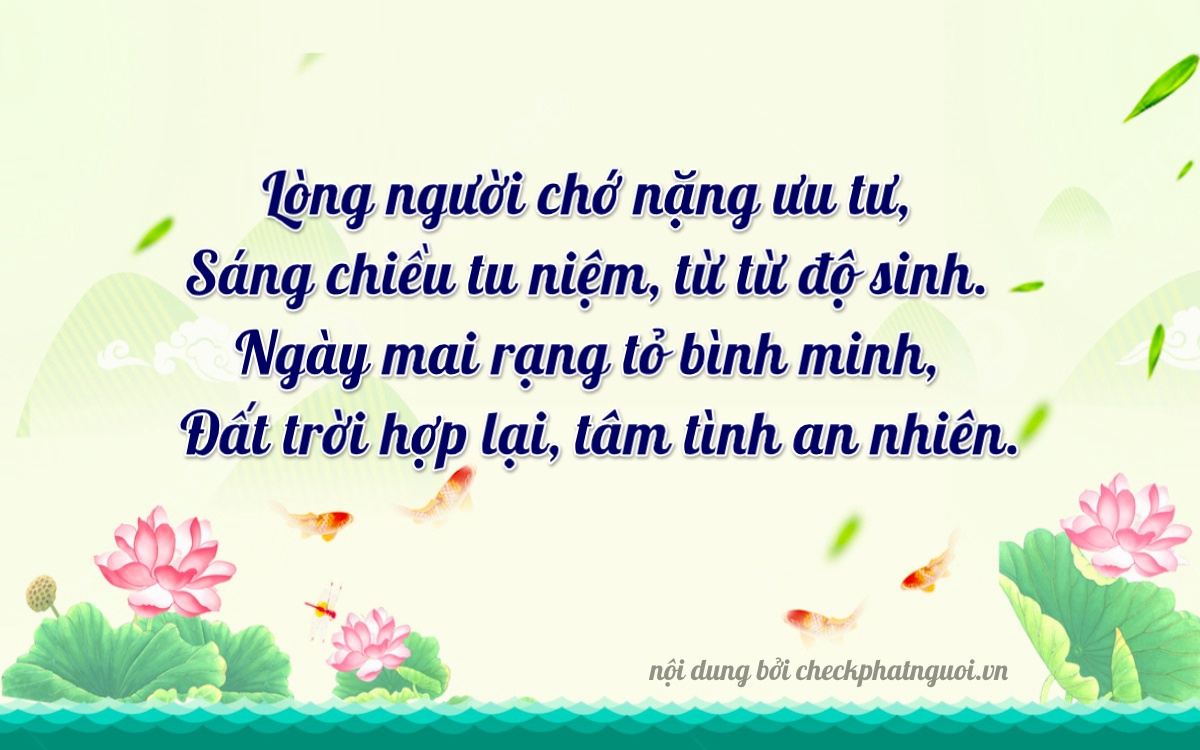 Bài thơ ý nghĩa cho <b>biển số 98B3-02628</b> tại website checkphatnguoi.vn