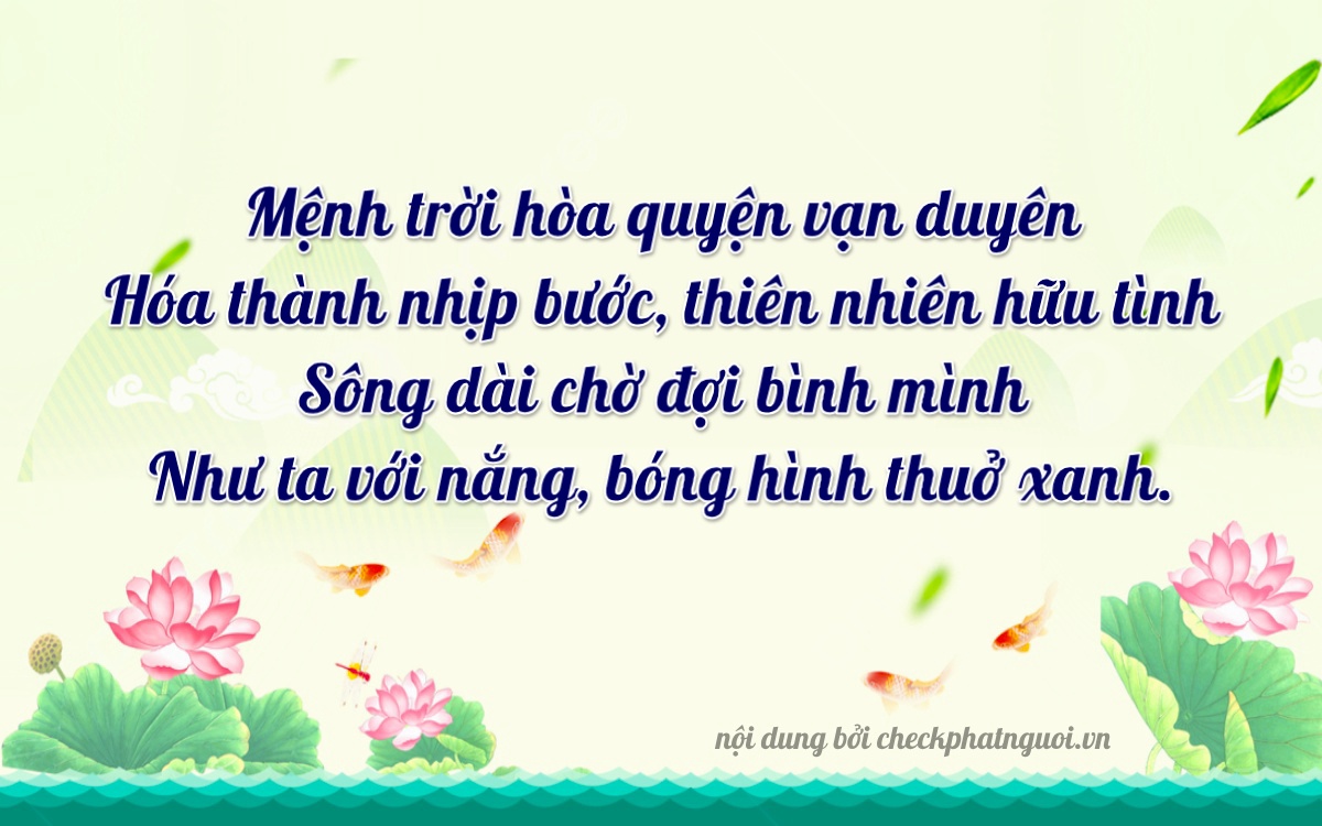 Bài thơ ý nghĩa cho <b>biển số 98C-22268</b> tại website checkphatnguoi.vn