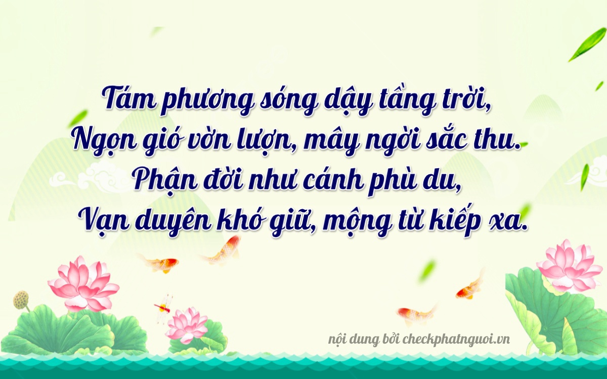 Bài thơ ý nghĩa cho <b>biển số 98N-88298</b> tại website checkphatnguoi.vn