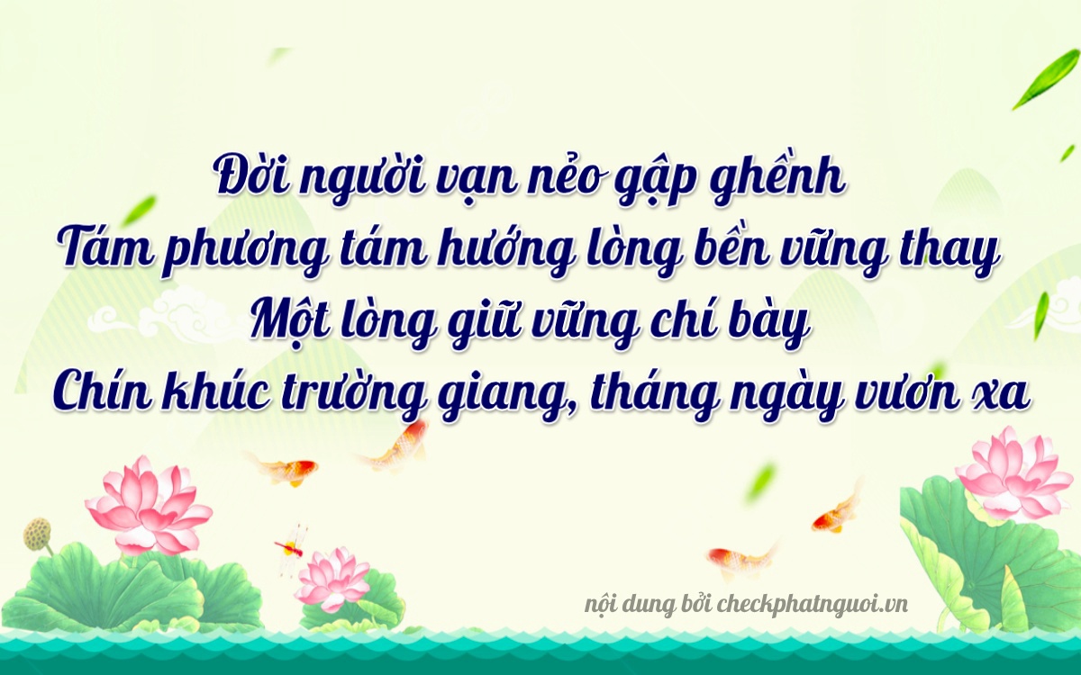Bài thơ ý nghĩa cho <b>biển số 99A-81985</b> tại website checkphatnguoi.vn