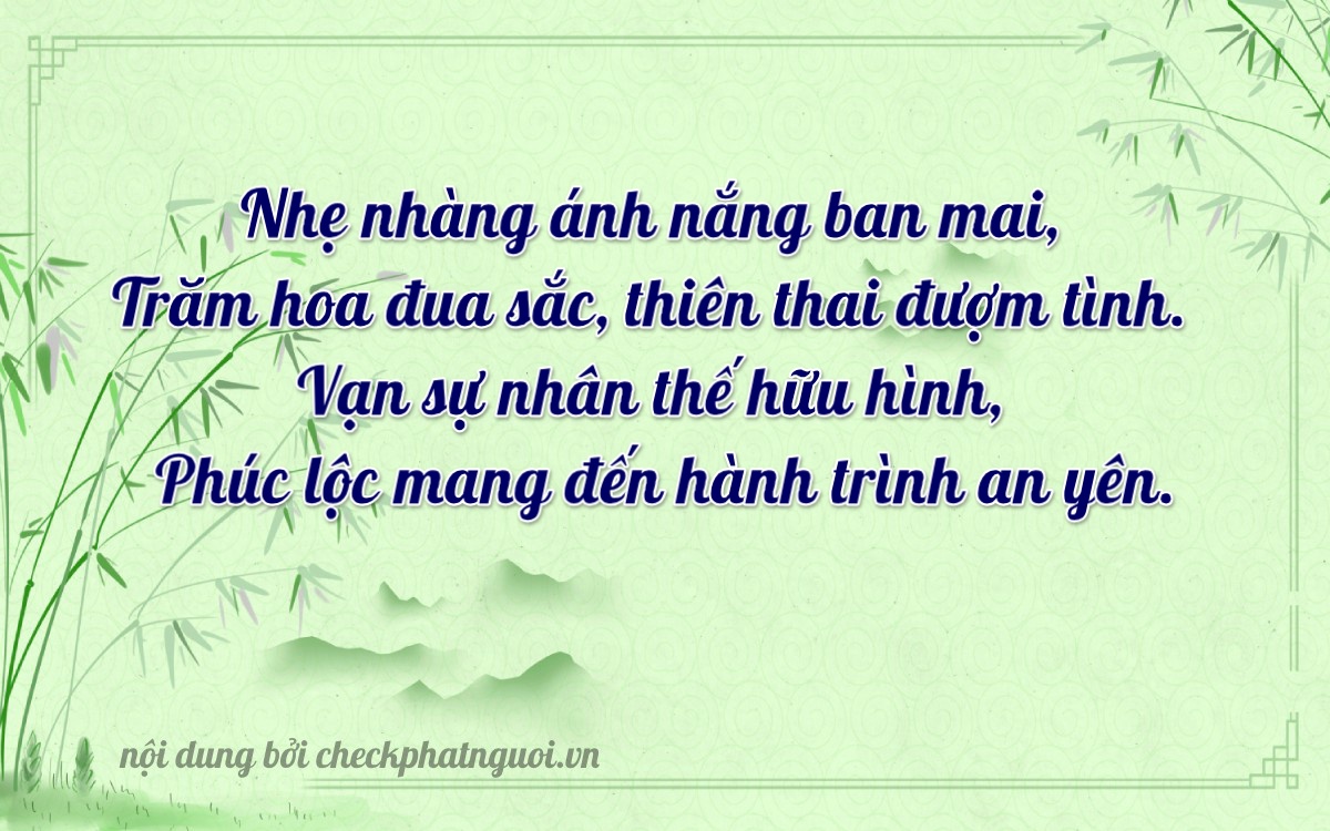Bài thơ ý nghĩa cho <b>biển số 99B-10162</b> tại website checkphatnguoi.vn